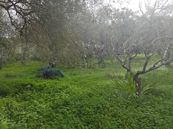 casa indipendente in vendita a Sassari in zona Caniga