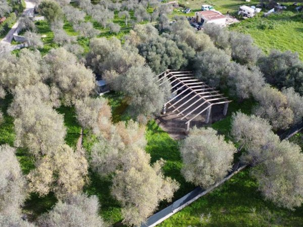 terreno agricolo in vendita a Sassari in zona Latte Dolce