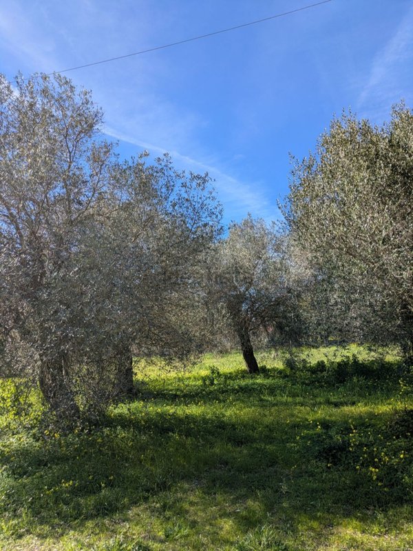 casa indipendente in vendita a Sassari