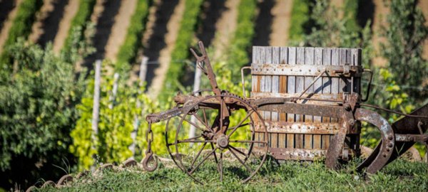 negozio in vendita a Sassari