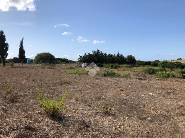 terreno agricolo in vendita a Sassari in zona Ottava