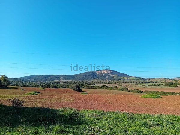 terreno agricolo in vendita a Sassari in zona Campanedda