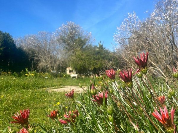 casa indipendente in vendita a Sassari in zona Li Punti