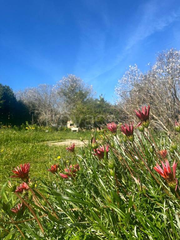 casa indipendente in vendita a Sassari in zona Li Punti