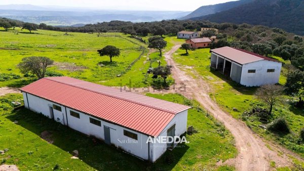 casale in vendita a Sassari in zona Centro Storico