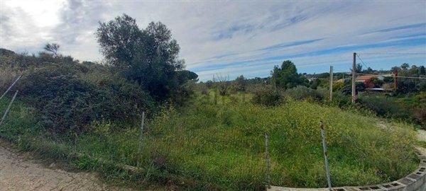 locale di sgombero in vendita a Sassari in zona Latte Dolce