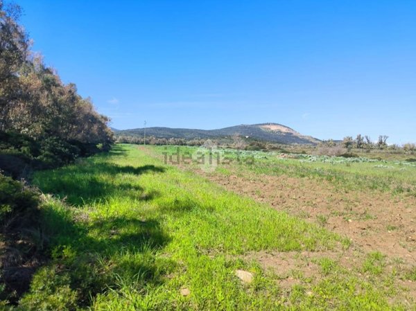 terreno agricolo in vendita a Sassari in zona Campanedda