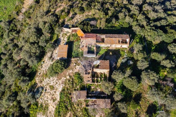 terreno edificabile in vendita a Sassari in zona Filigheddu