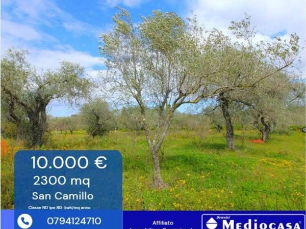 terreno agricolo in vendita a Sassari in zona Latte Dolce