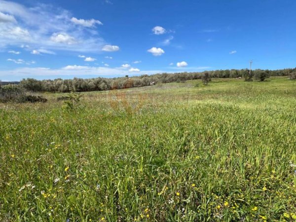 terreno agricolo in vendita a Sassari in zona Caniga