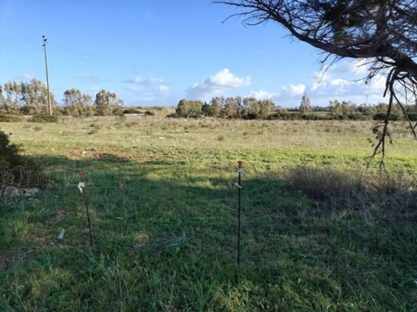 terreno agricolo in vendita a Sassari in zona La Corte