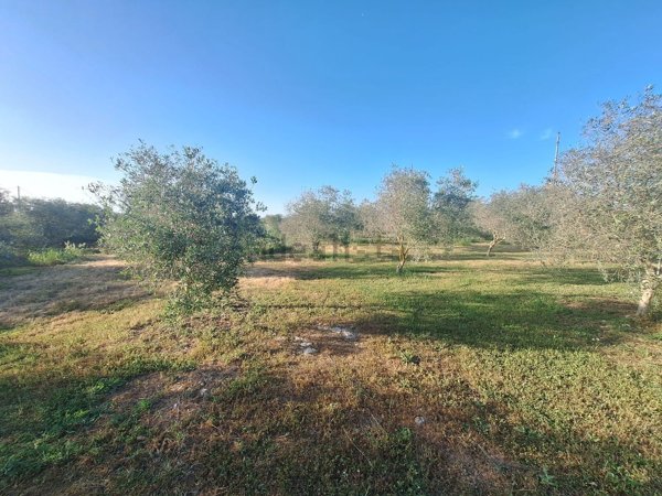 terreno agricolo in vendita a Sassari in zona San Giovanni