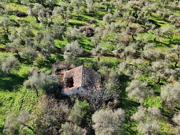 terreno agricolo in vendita a Sassari in zona Li Punti