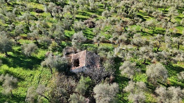casa indipendente in vendita a Sassari in zona Centro Storico