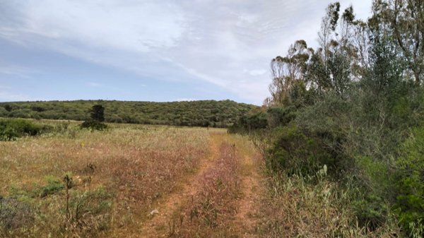 terreno in vendita a Sassari in zona Tottubella/Rumanedda