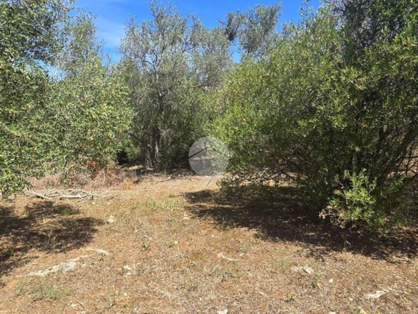 casa indipendente in vendita a Sassari in zona La Landrigga
