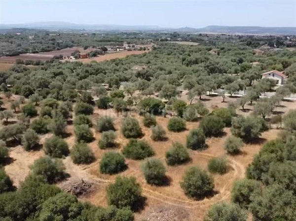 terreno edificabile in vendita a Sassari in zona Caniga