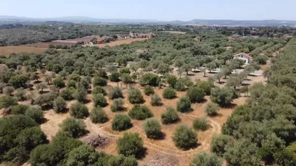 terreno in vendita a Sassari in zona Caniga