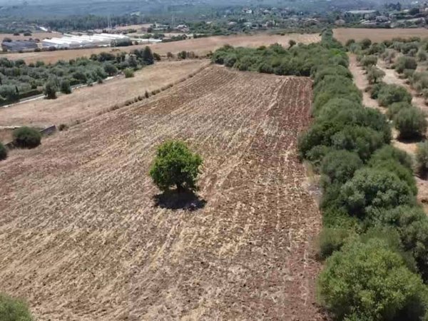 terreno agricolo in vendita a Sassari in zona Caniga