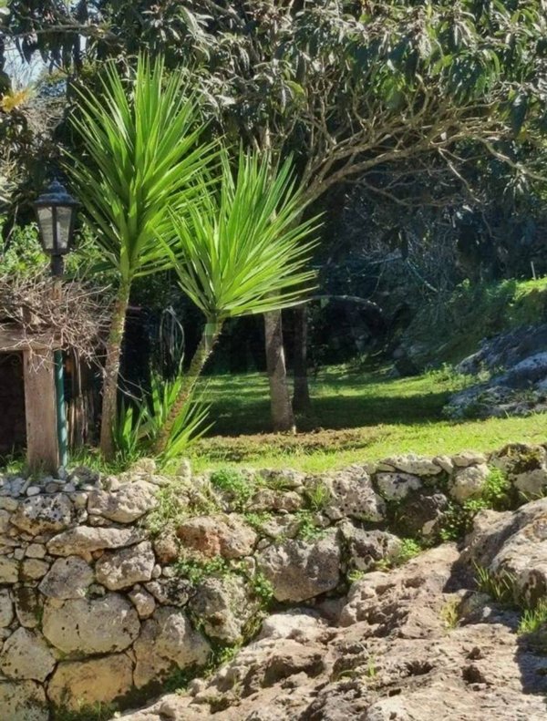 casa indipendente in vendita a Sassari