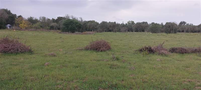 casa indipendente in vendita a Sassari in zona Bancali