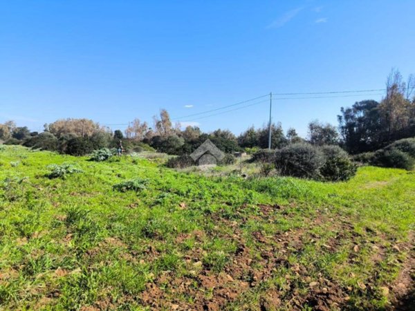 terreno agricolo in vendita a Sassari in zona Campanedda