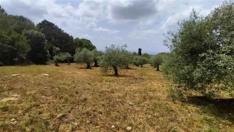 terreno in vendita a Sassari in zona Centro Storico
