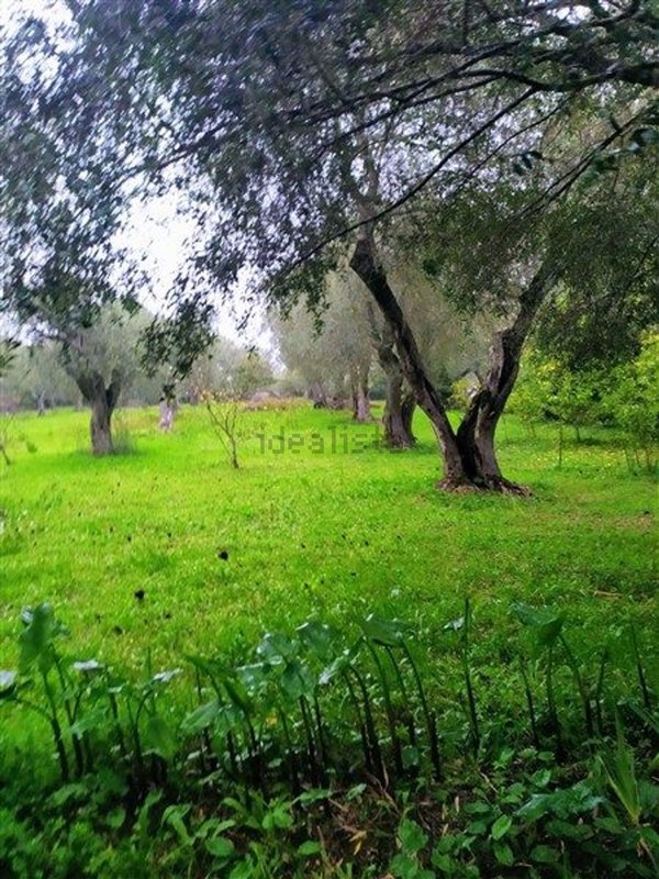 terreno in vendita a Sassari in zona La Landrigga