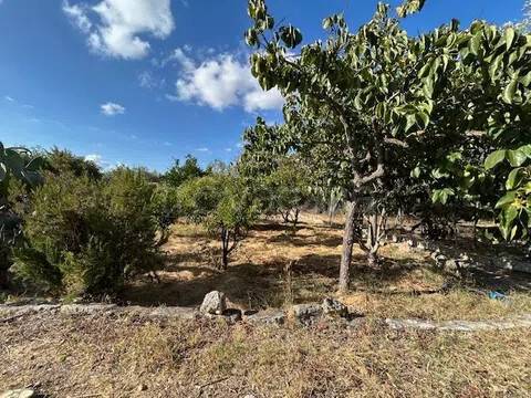 terreno in vendita a Sassari