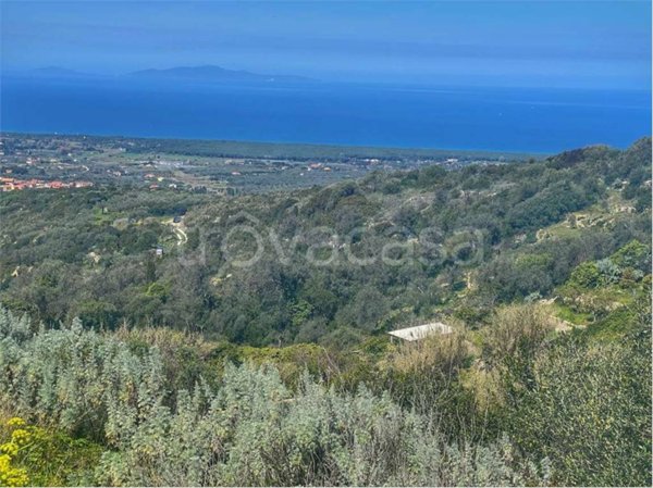 terreno agricolo in vendita a Sennori