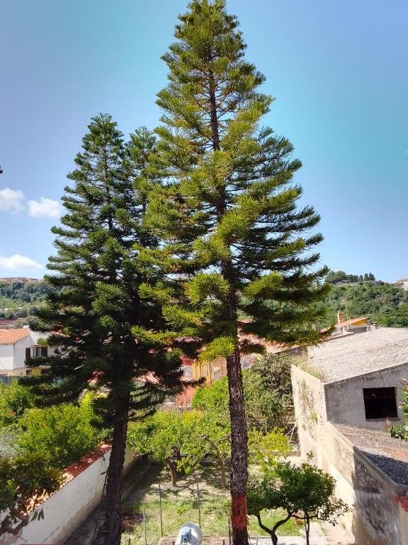 appartamento in vendita a Sennori