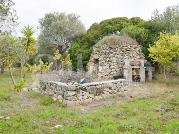 terreno agricolo in vendita a Sennori