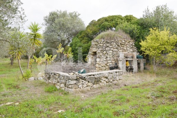 terreno agricolo in vendita a Sennori