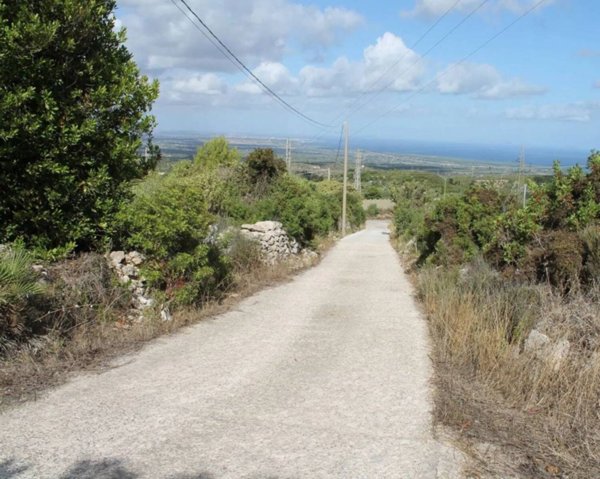 terreno agricolo in vendita a Sennori