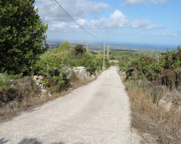 immagine annuncio 0 di 15