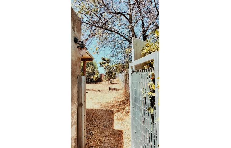 casa indipendente in vendita a Sennori