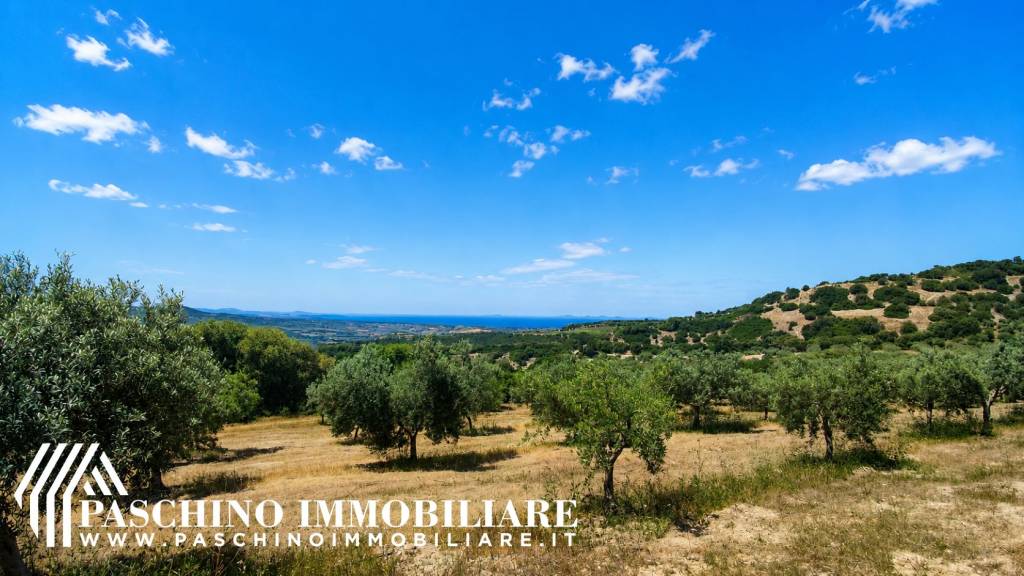 terreno agricolo in vendita a Sennori