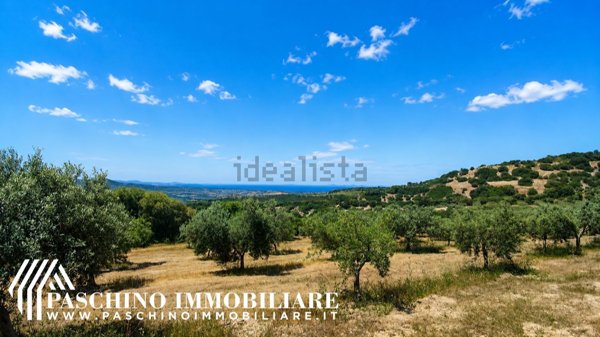 terreno agricolo in vendita a Sennori