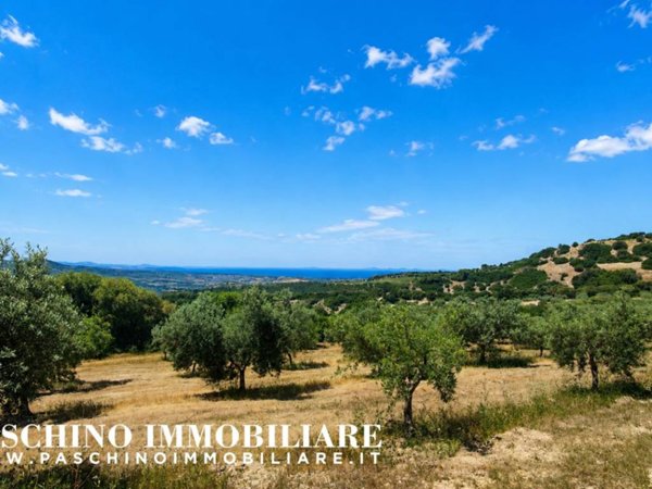 terreno agricolo in vendita a Sennori