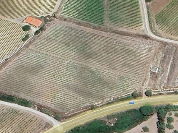 terreno agricolo in vendita a Sennori