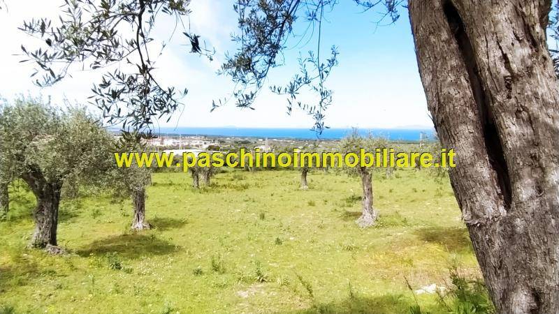 terreno agricolo in vendita a Sorso in zona Marina di Sorso