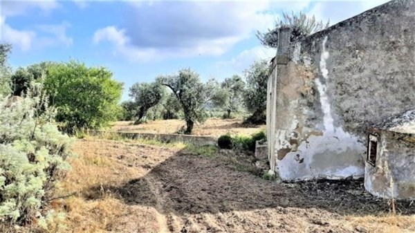 terreno agricolo in vendita a Sorso