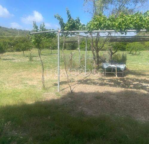terreno agricolo in vendita a Sorso