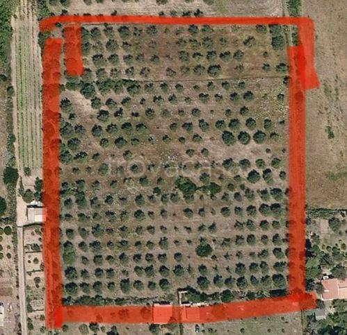 terreno agricolo in vendita a Sorso