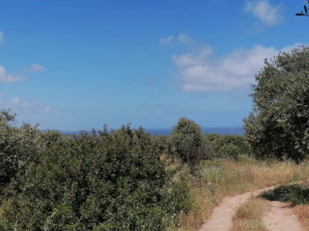 terreno agricolo in vendita a Sorso