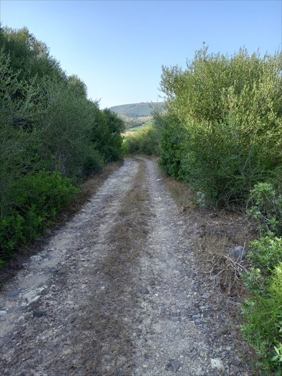 terreno agricolo in vendita a Sorso