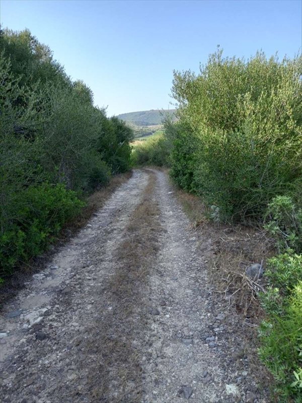 terreno agricolo in vendita a Sorso