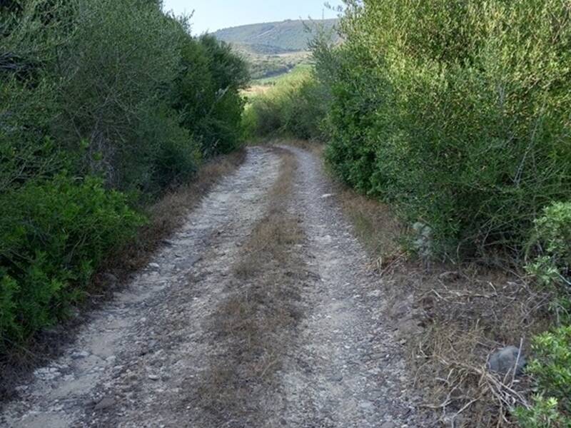 terreno agricolo in vendita a Sorso