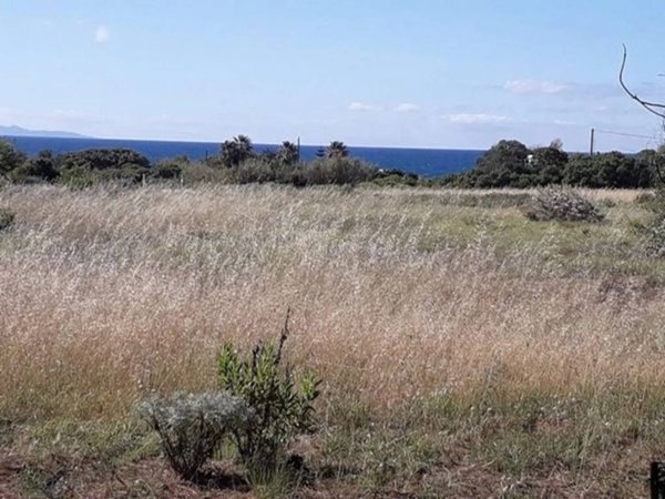 terreno agricolo in vendita a Sorso
