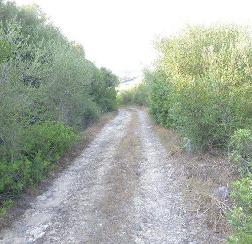terreno agricolo in vendita a Sorso